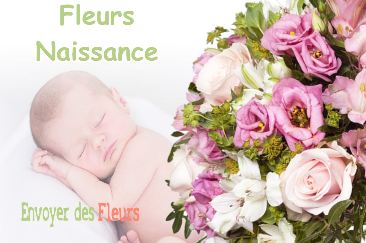 lIVRAISON FLEURS NAISSANCE à MONT-DE-MARSAN